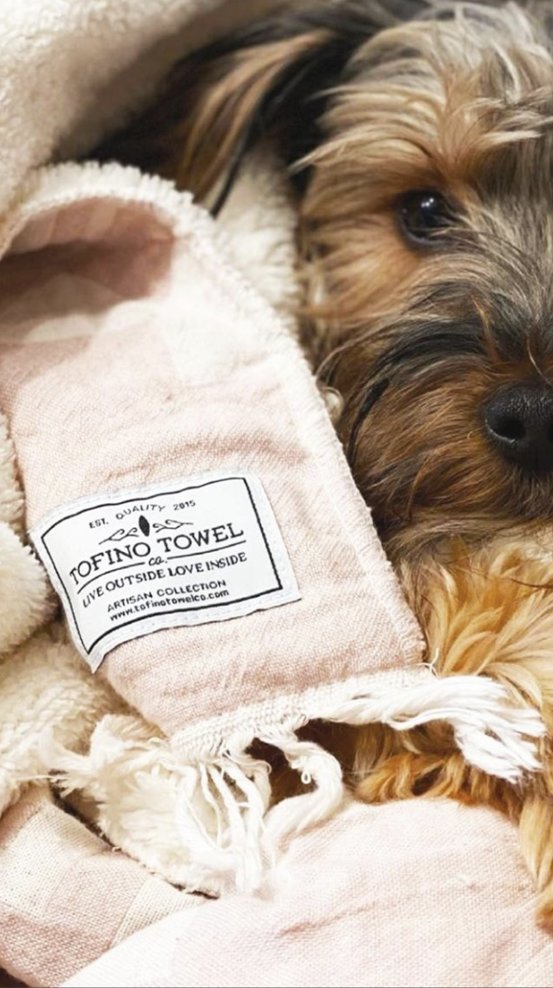 1000 pcs - COTTON LABEL: Custom design printed label production order