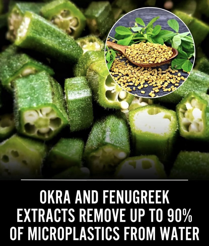 🌿 Why Natural Fibers Matter: Health, Sustainability, and the Hidden Cost of Synthetics